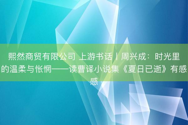熙然商贸有限公司 上游书话丨周兴成：时光里的温柔与怅惘——读曹译小说集《夏日已逝》有感