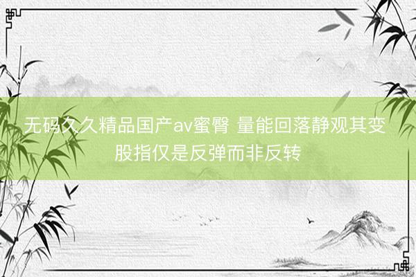 无码久久精品国产av蜜臀 量能回落静观其变 股指仅是反弹而非反转