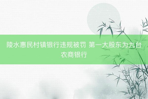 陵水惠民村镇银行违规被罚 第一大股东为九台农商银行