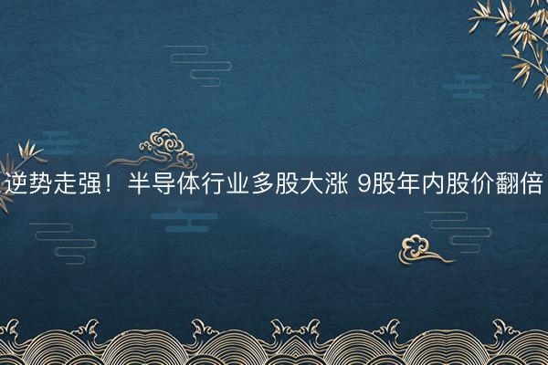 逆势走强！半导体行业多股大涨 9股年内股价翻倍