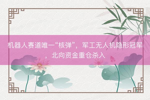 机器人赛道唯一“核弹”，军工无人机隐形冠军，北向资金重仓杀入