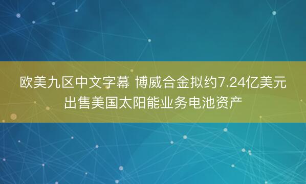 欧美九区中文字幕 博威合金拟约7.24亿美元出售美国太阳能业务电池资产
