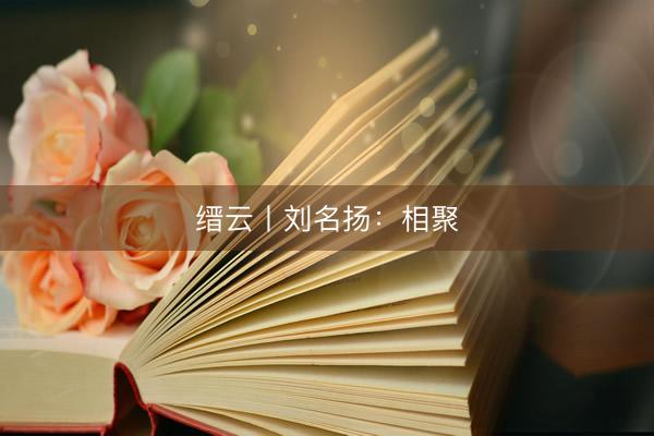 缙云丨刘名扬：相聚