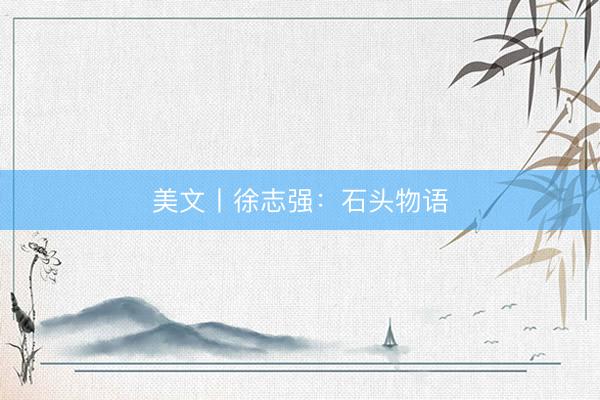 美文丨徐志强：石头物语