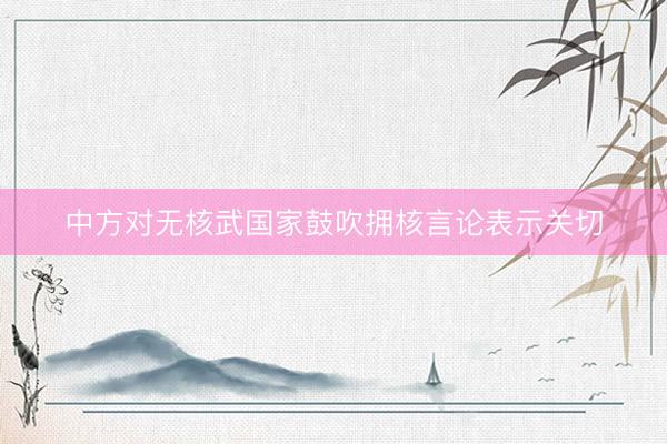 中方对无核武国家鼓吹拥核言论表示关切