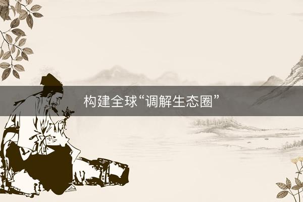 构建全球“调解生态圈”
