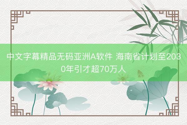 中文字幕精品无码亚洲A软件 海南省计划至2030年引才超70万人