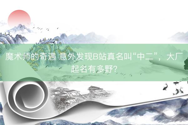 魔术师的奇遇 意外发现B站真名叫“中二”，大厂起名有多野？