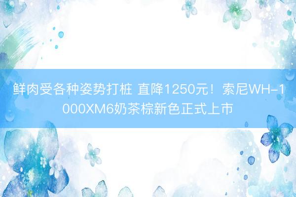 鲜肉受各种姿势打桩 直降1250元！索尼WH-1000XM6奶茶棕新色正式上市