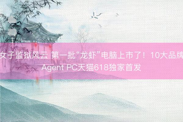 女子监狱风云 第一批“龙虾”电脑上市了！10大品牌Agent PC天猫618独家首发