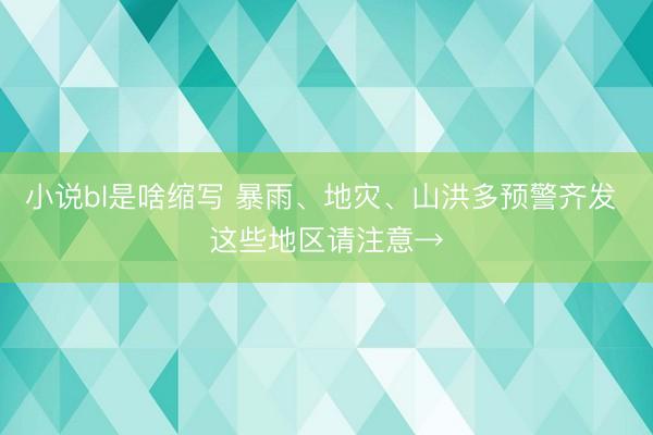 小说bl是啥缩写 暴雨、地灾、山洪多预警齐发 这些地区请注意→