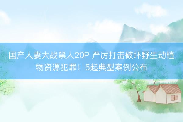 国产人妻大战黑人20P 严厉打击破坏野生动植物资源犯罪！5起典型案例公布