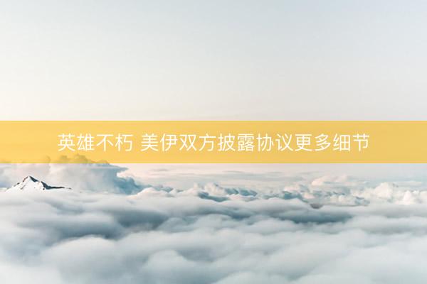 英雄不朽 美伊双方披露协议更多细节