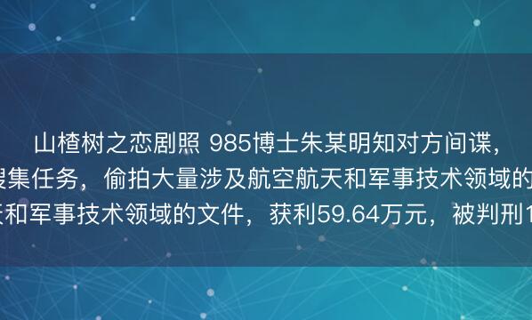 山楂树之恋剧照 985博士朱某明知对方间谍，仍接受其布置的情报搜集任务，偷拍大量涉及航空航天和军事技术领域的文件，获利59.64万元，被判刑15年