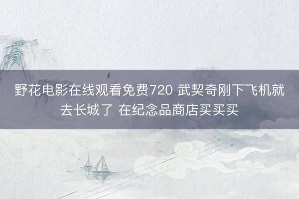 野花电影在线观看免费720 武契奇刚下飞机就去长城了 在纪念品商店买买买