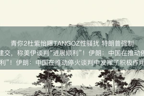 青你2杜紫怡曝TANGOZ性骚扰 特朗普强制要求中东多国与以色列建交，称美伊谈判“进展顺利”！伊朗：中国在推动停火谈判中发挥了积极作用