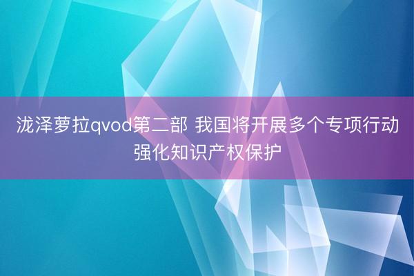 泷泽萝拉qvod第二部 我国将开展多个专项行动强化知识产权保护