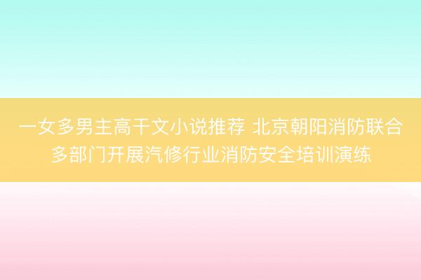 一女多男主高干文小说推荐 北京朝阳消防联合多部门开展汽修行业消防安全培训演练