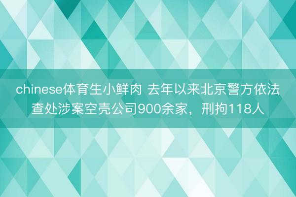 chinese体育生小鲜肉 去年以来北京警方依法查处涉案空壳公司900余家，刑拘118人