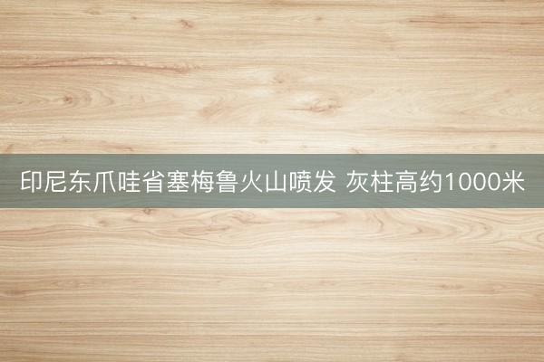 印尼东爪哇省塞梅鲁火山喷发 灰柱高约1000米