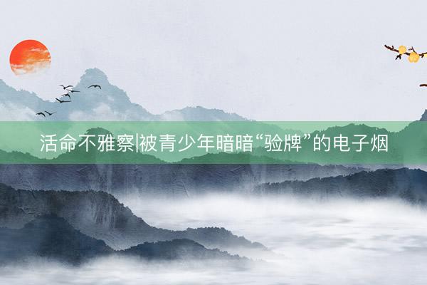 活命不雅察|被青少年暗暗“验牌”的电子烟