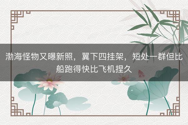 渤海怪物又曝新照，翼下四挂架，短处一群但比船跑得快比飞机捏久