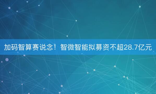 加码智算赛说念！智微智能拟募资不超28.7亿元