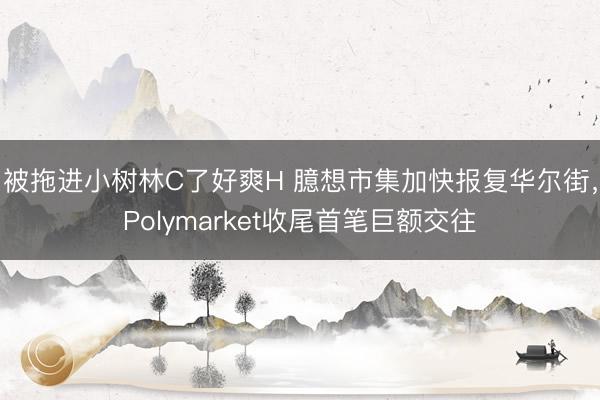 被拖进小树林C了好爽H 臆想市集加快报复华尔街，Polymarket收尾首笔巨额交往