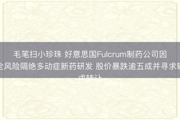 毛笔扫小珍珠 好意思国Fulcrum制药公司因安全风险隔绝多动症新药研发 股价暴跌逾五成并寻求转让