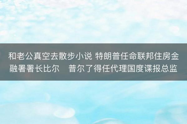 和老公真空去散步小说 特朗普任命联邦住房金融署署长比尔・普尔了得任代理国度谍报总监