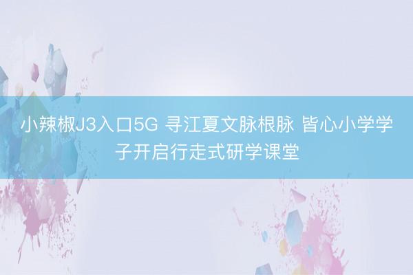 小辣椒J3入口5G 寻江夏文脉根脉 皆心小学学子开启行走式研学课堂