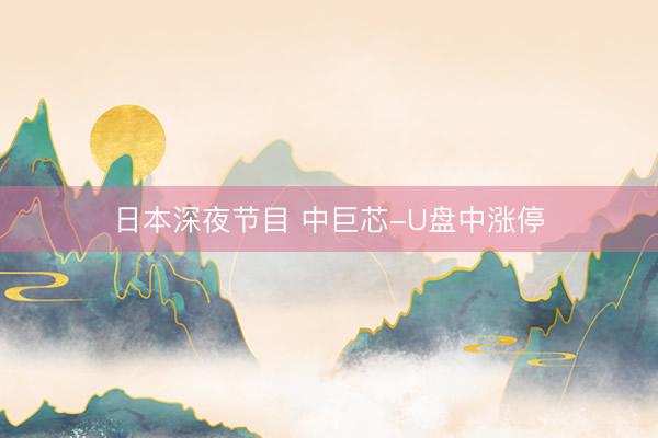 日本深夜节目 中巨芯-U盘中涨停