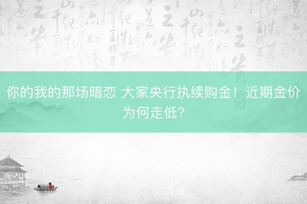 你的我的那场暗恋 大家央行执续购金！近期金价为何走低？