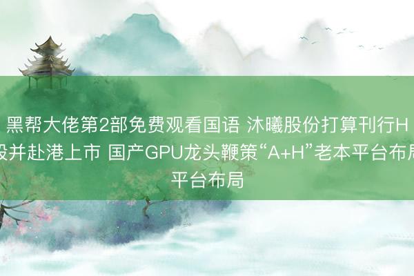 黑帮大佬第2部免费观看国语 沐曦股份打算刊行H股并赴港上市 国产GPU龙头鞭策“A+H”老本平台布局