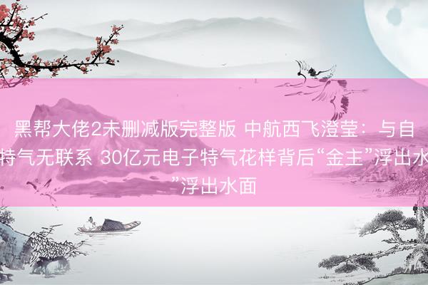 黑帮大佬2未删减版完整版 中航西飞澄莹:与自贡特气无联系 30亿元电子特气花样背后“金主”浮出水面