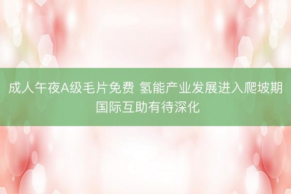 成人午夜A级毛片免费 氢能产业发展进入爬坡期 国际互助有待深化