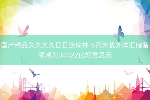 国产精品久久久久日日迷棕林 5月末我外洋汇储备领域为34422亿好意思元