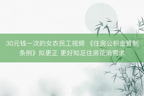 30元钱一次的女农民工视频 《住房公积金管制条例》拟更正 更好知足住房花消需求