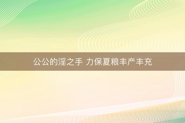 公公的淫之手 力保夏粮丰产丰充