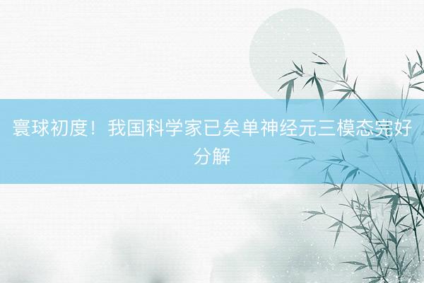 寰球初度！我国科学家已矣单神经元三模态完好分解